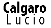 Logo di CALGARO LUCIO - RIPARAZIONE MACCHINE MOVIMENTO TERRA