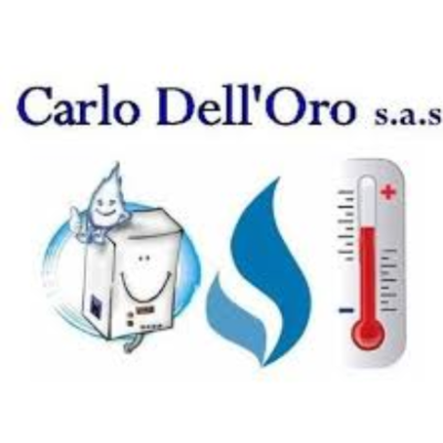 Logo di CARLO DELL'ORO SAS CENTRO ASSISTENZA AUTORIZZATO