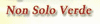 Logo di AGENZIA FUNEBRE NON SOLO VERDE