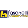 Logo di FASANELLI PNEUMATICI