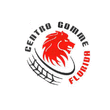 Logo di CENTRO GOMME FLORIDA