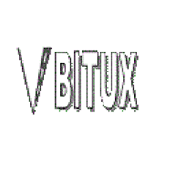 Logo di BITUX SPA