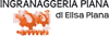 Logo di INGRANAGGERIA PIANA