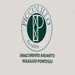 Logo di PICCOLILLO SAS