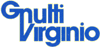 Logo di GNUTTI VIRGINIO SPA
