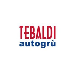 Logo di TEBALDI AUTOGRÙ