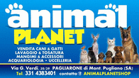 Logo di ANIMAL PLANET