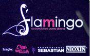 Logo di FLAMINGO ACCONCIATURE