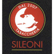 Logo di TABACCHERIA SILEONI
