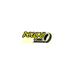 Logo di POLONI GOMME