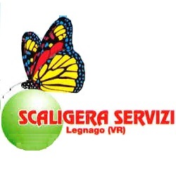 Logo di SCALIGERA SERVIZI SPURGO POZZI NERI