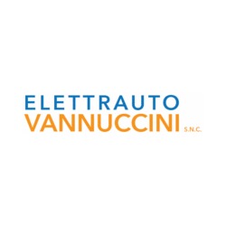 Logo di ELETTRAUTO VANNUCCINI