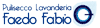 Logo di LAVANDERIA FAEDO