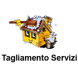 Logo di IMPRESA DI PULIZIE TAGLIAMENTO