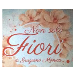 Logo di NON SOLO FIORI DI MONICA GRAZIANO - FIORI E PIANTE