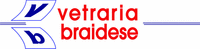 Logo di VETRARIA BRAIDESE
