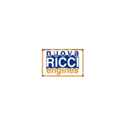 Logo di RICCI