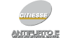 Logo di CITIESSE