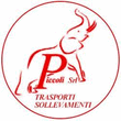 Logo di PICCOLI AUTOGRU