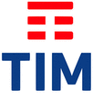 Logo di TIM SCANDICCI