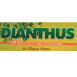 Logo di FIORI E PIANTE DIANTHUS