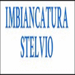 Logo di IMBIANCATURA STELVIO