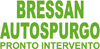 Logo di SPURGHI PIETRO BRESSAN