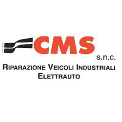 Logo di CMS REVISIONI - TIR SERVICE
