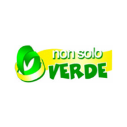 Logo di NON SOLO VERDE