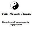 Logo di PLUMARI DOTT. CARMELO VITO