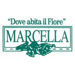 Logo di MARCELLA FIORI
