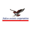 Logo di FALCOS