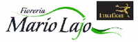 Logo di FIORERIA ART FLOR