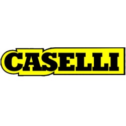 Logo di CASELLI ENRICO