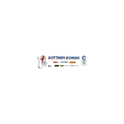 Logo di GOTTARDI GOMME
