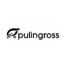 Logo di PULINGROSS