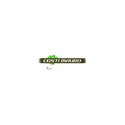 Logo di COSTI MAURO