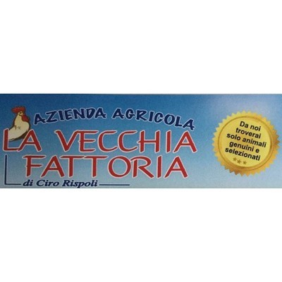 Logo di AZIENDA AGRICOLA LA VECCHIA FATTORIA