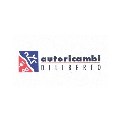 Logo di DILIBERTO SRL