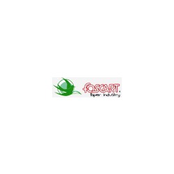 Logo di FOSCART - PAPER INDUSTRY