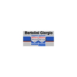 Logo di BERTOLINI GIORGIO