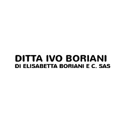Logo di DITTA IVO BORIANI