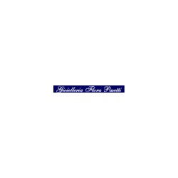 Logo di FLORA PASETTI