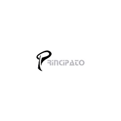 Logo di OTTICA PRINCIPATO