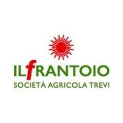 Logo di SOCIETA' AGRICOLA TREVI IL FRANTOIO SPA
