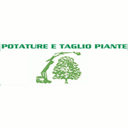 Logo di TARDIVO CAV. GIOVANNI E FIGLI