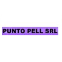 Logo di PUNTO PELL