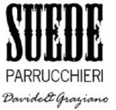 Logo di PARRUCCHIERI SUEDE