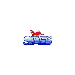 Logo di STES - SUB TECHNICAL EDIL SERVICE