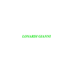 Logo di LONARDI GIANNI